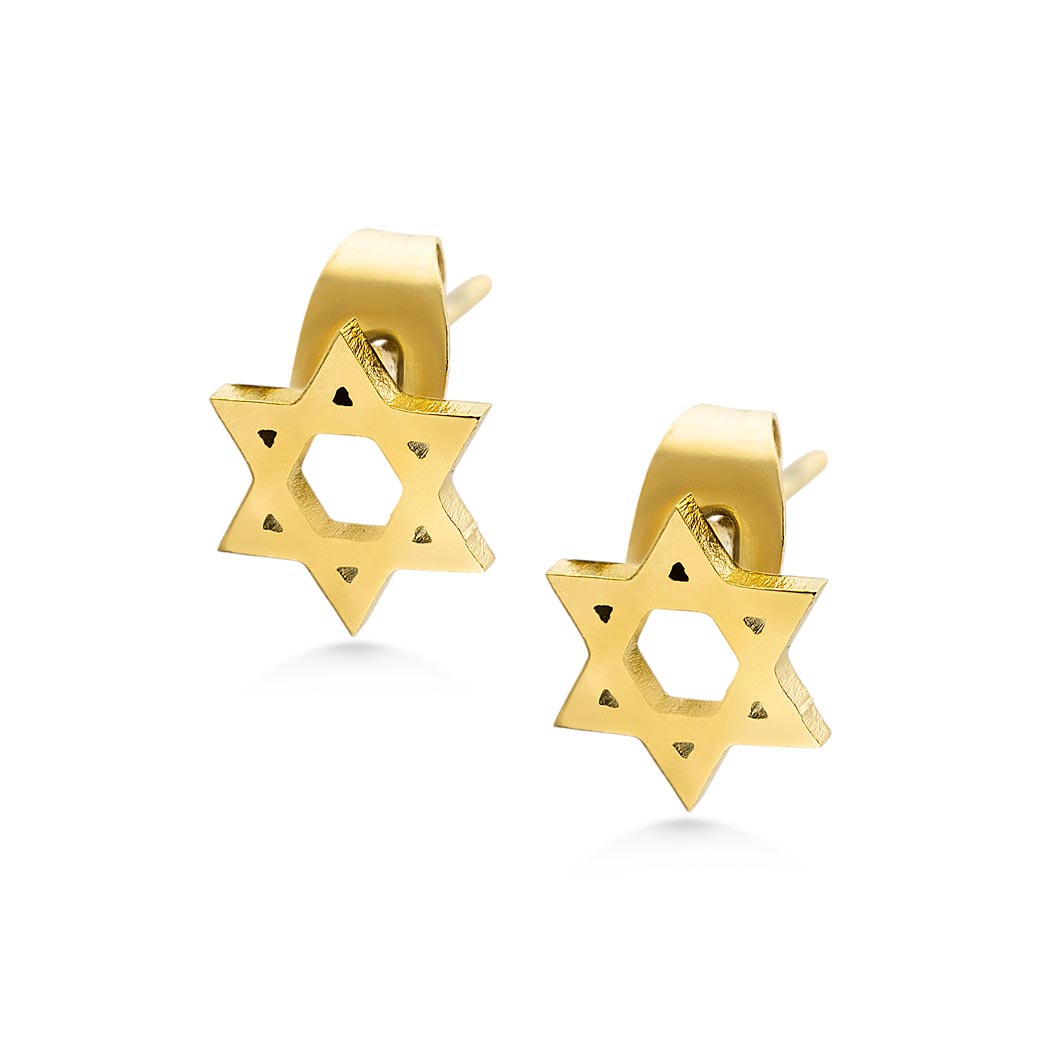 MNC-ER950-B Steel & Gold Star Stud Earrings