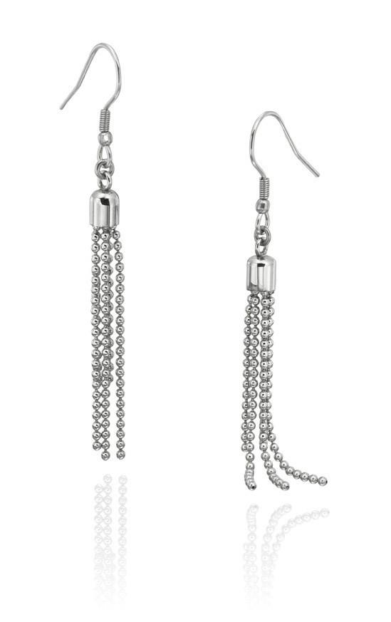 6527-43759k Stainless Steel Earrings